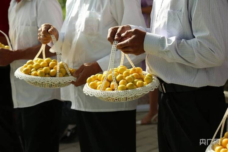 本届白杏文化节为白杏特色农副产品带来好机遇,此次白杏特色农副产品